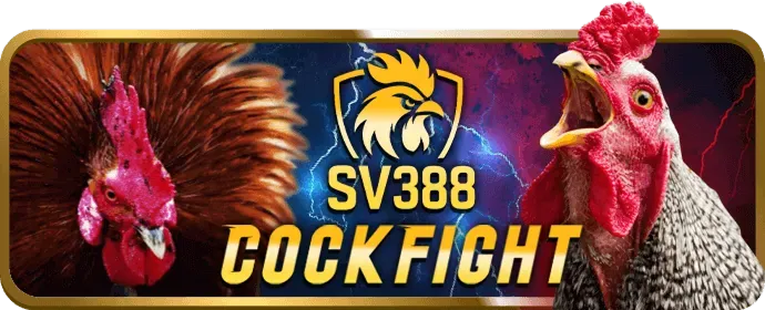 Ưu đãi và khuyến mãi vn123 casino